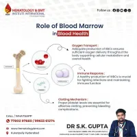 Bone Marrow – Expert Hematology Care by Dr. S K Guptha