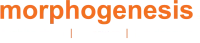 Morphogenesis