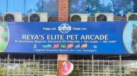 Reyas Elite Pet Arcade